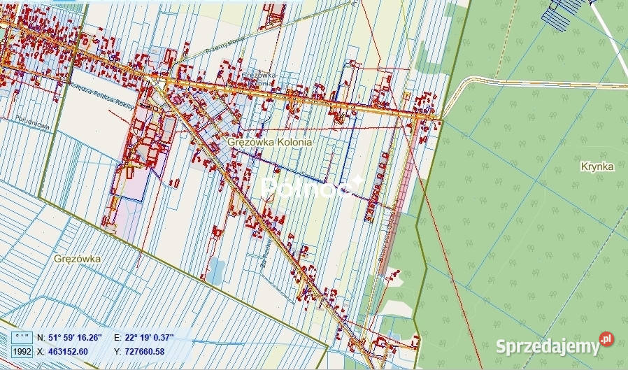 Działki budowlane pod lasem Gręzówka Kolonia Gręzówka-Kolonia