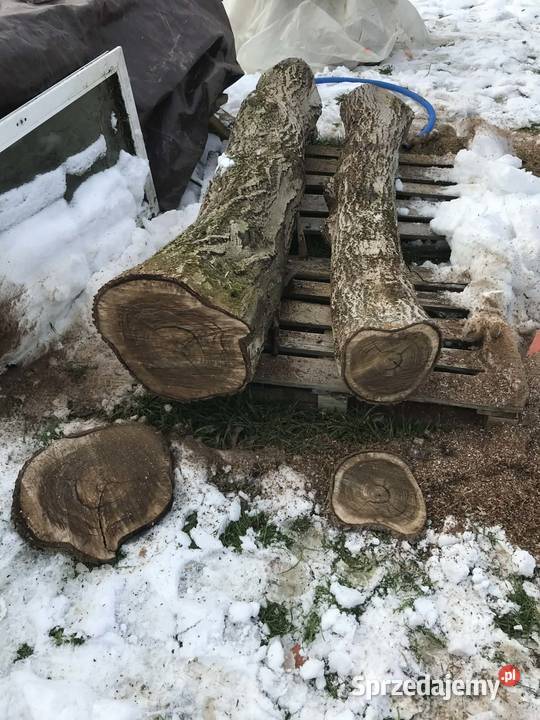 drewno orzechowe pień na foszty deski rzeźba Narama