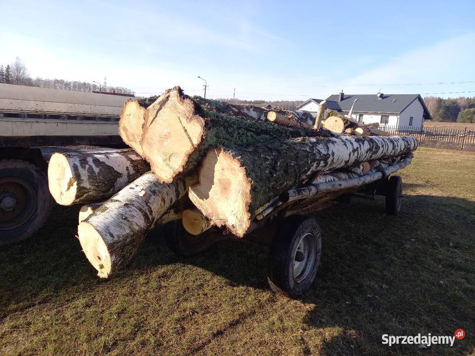 Drewno opałowe brzoza w kawałkach kominkowe Mińsk Mazowiecki