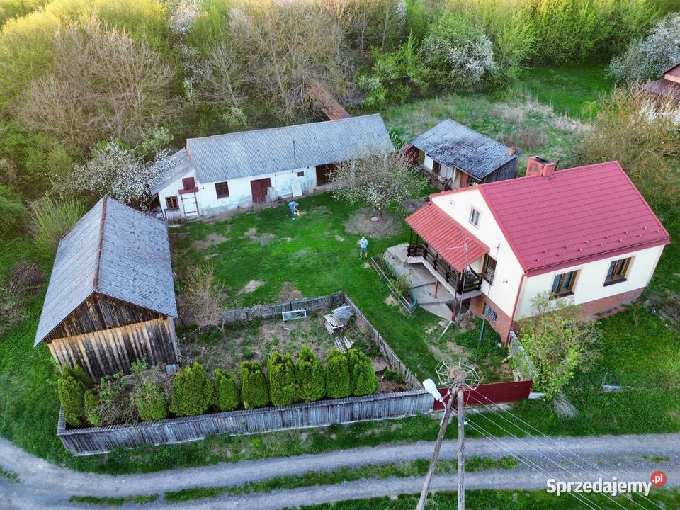 Sprzedam dom z budynkami 60 arów w gospodarstwo Zdziechowice Drugie