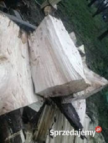 drewno topola suche Tychnowy