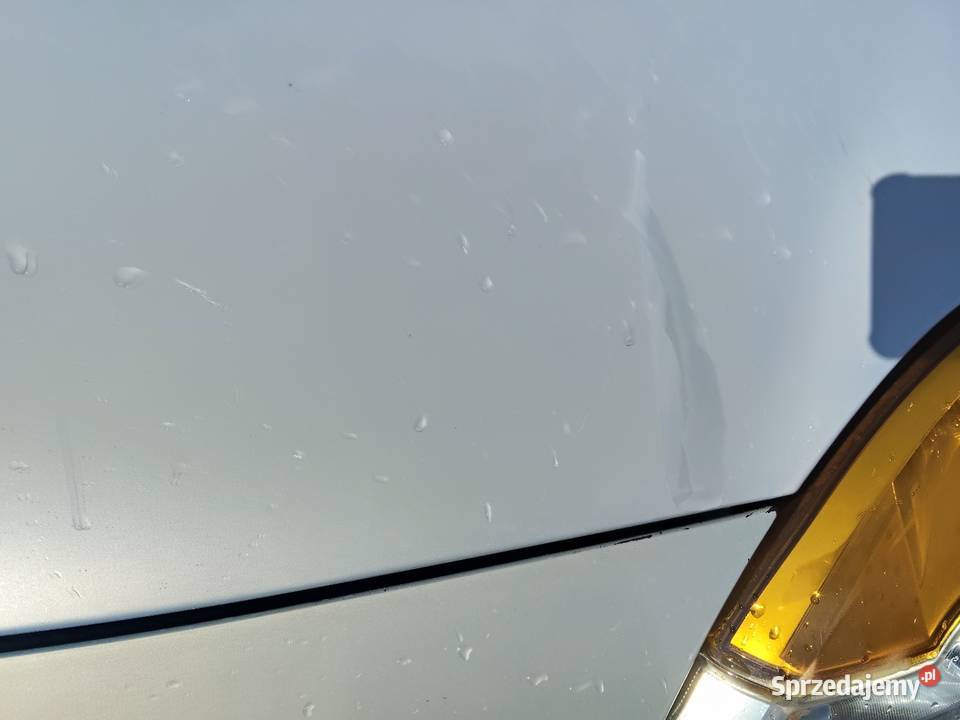 Renault Modus 2005 Rok produkcji 2005