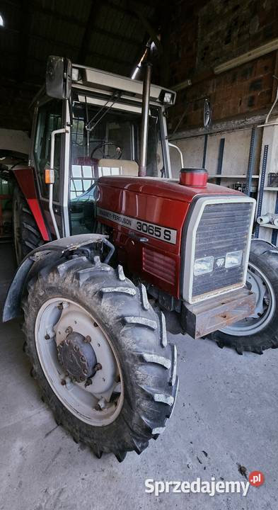 Sprzedam Ciągnik Massey Ferguson 3065S Wtelno