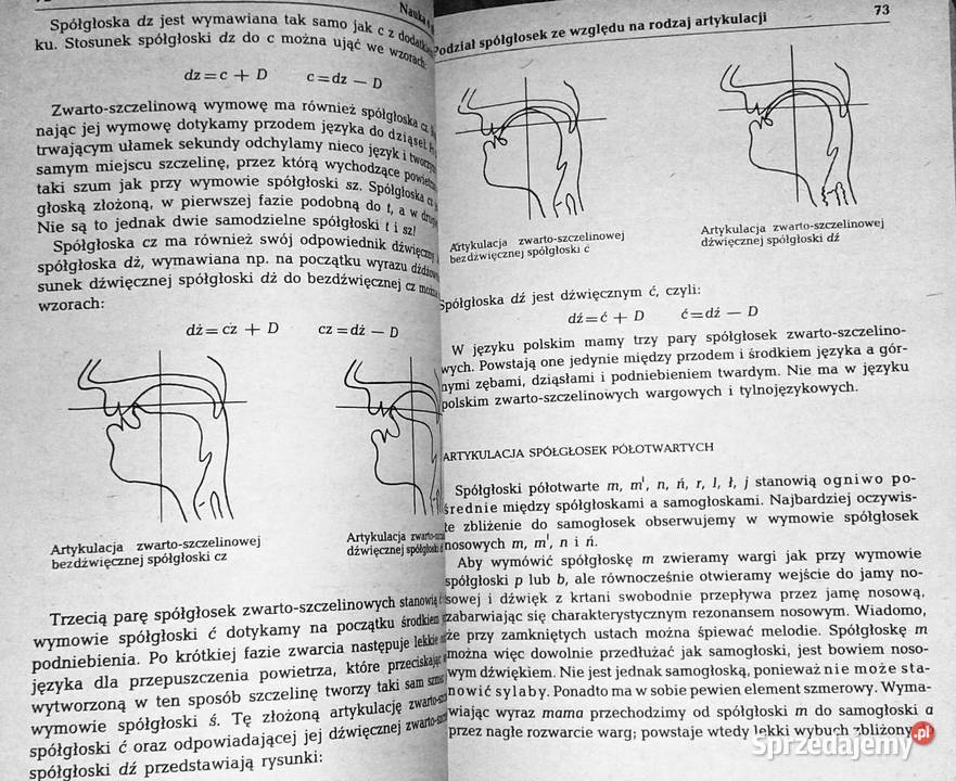 Gramatyka języka polskiego Zarys popularny Piotr Chełm