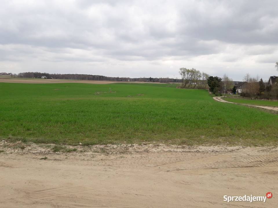 Dwie działki z warunkami zabudowy w Górze Góra sprzedam