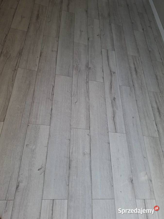 Panele 17m2 oddam Nowa Wola