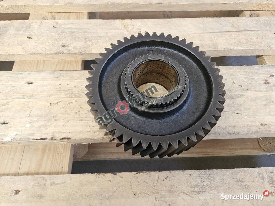 Koło zębate Massey Ferguson 6495 8140 8210 8250 Skrzynia biegów Byków