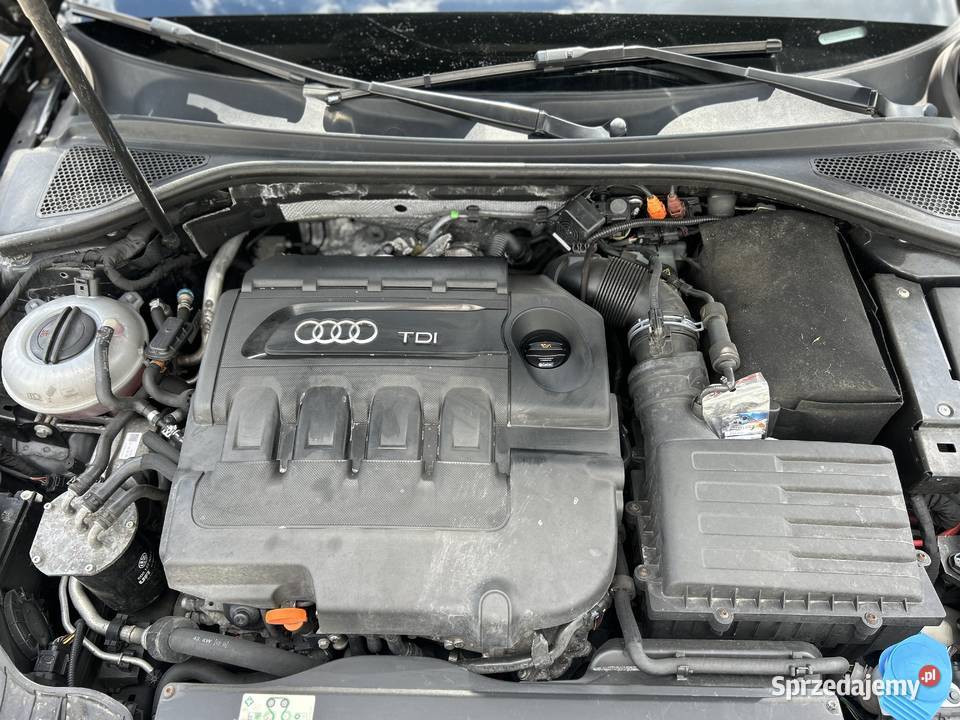 Audi a3 8v wielkopolskie Opalenica