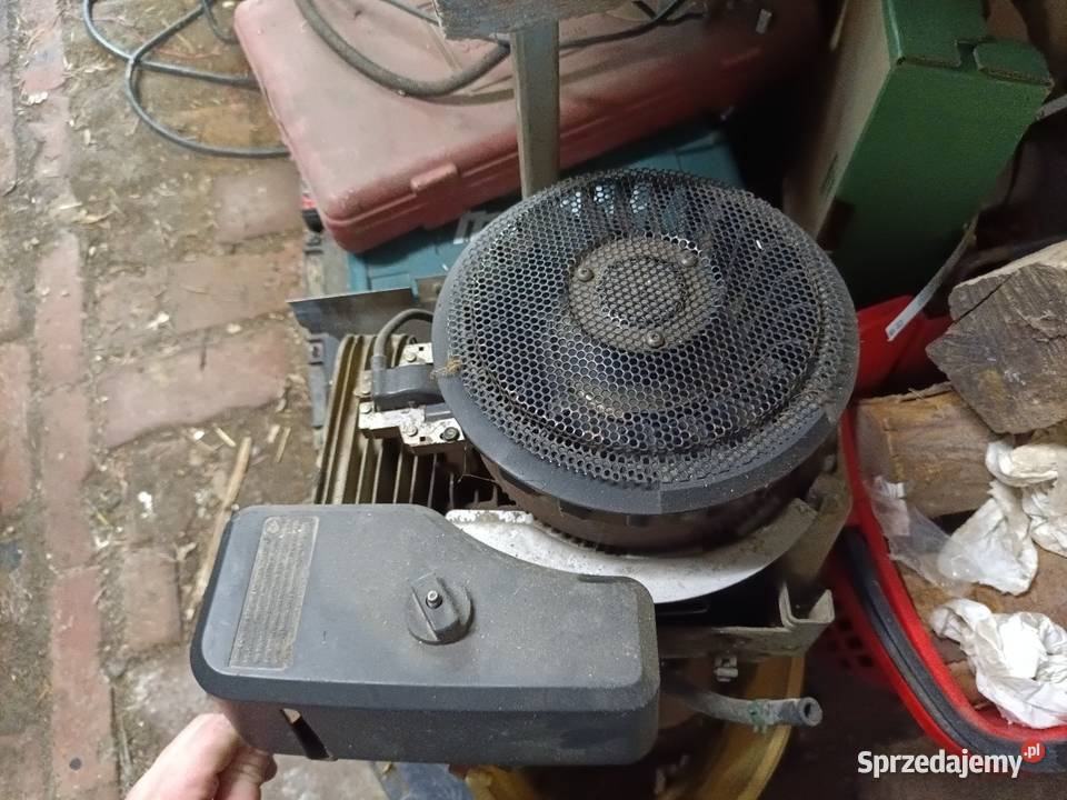 Części silnik Briggs stratom 10155 Nysa