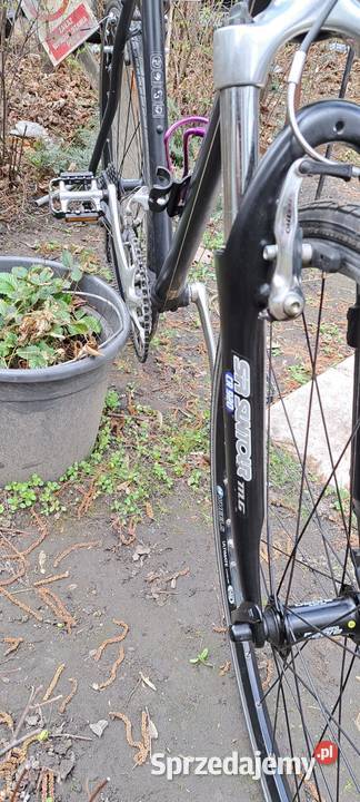 Sprzedam Rower Męski Hercules Street Tradition Wrocław