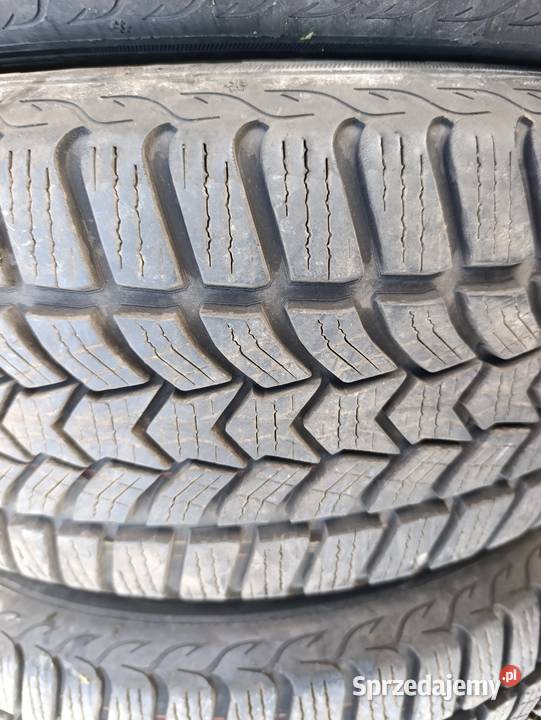 Opony zimowe Dębica 1655205