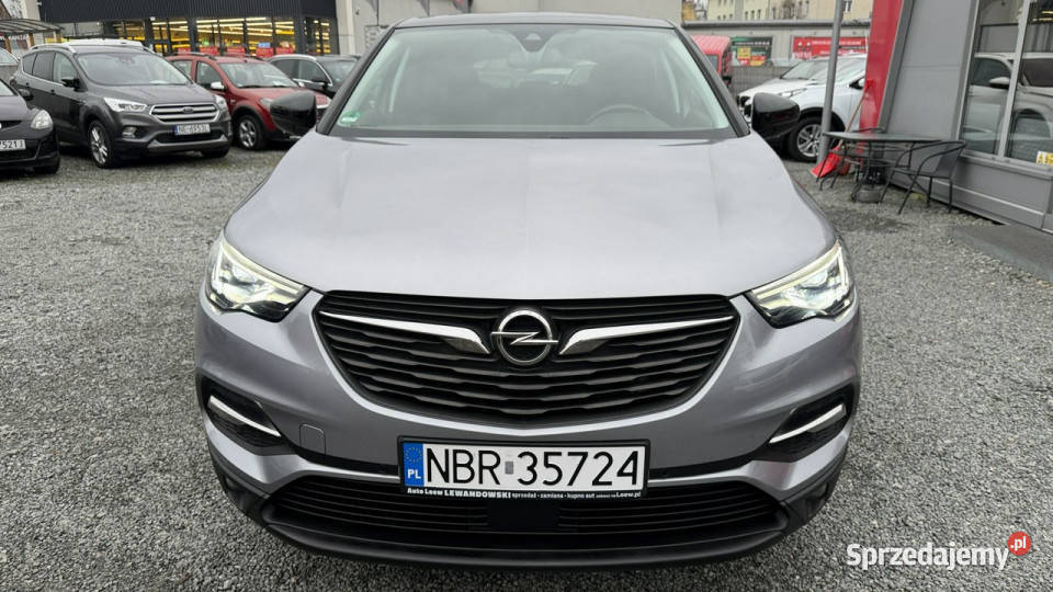Opel Grandland X 20 Diesel Moc 177 Automat LED przyciemniane szyby Elbląg