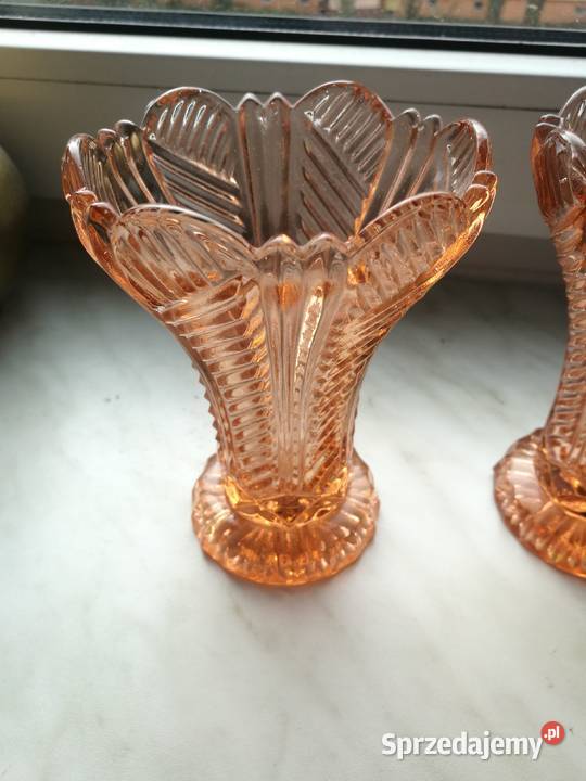 Wazoniki Ząbkowice różowe zachodniopomorskie