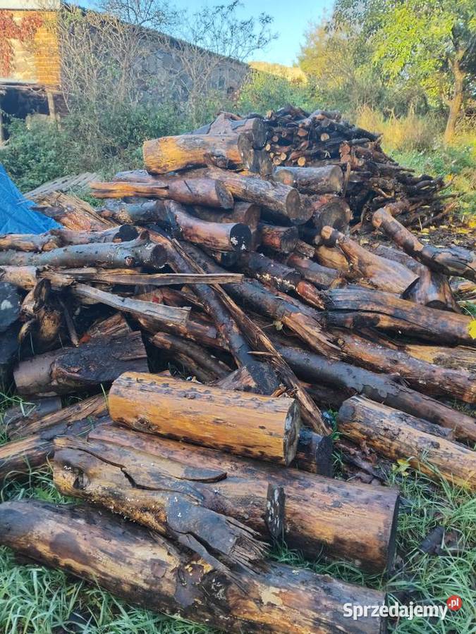 Drewno opalowe Opał zachodniopomorskie Wierzchowo