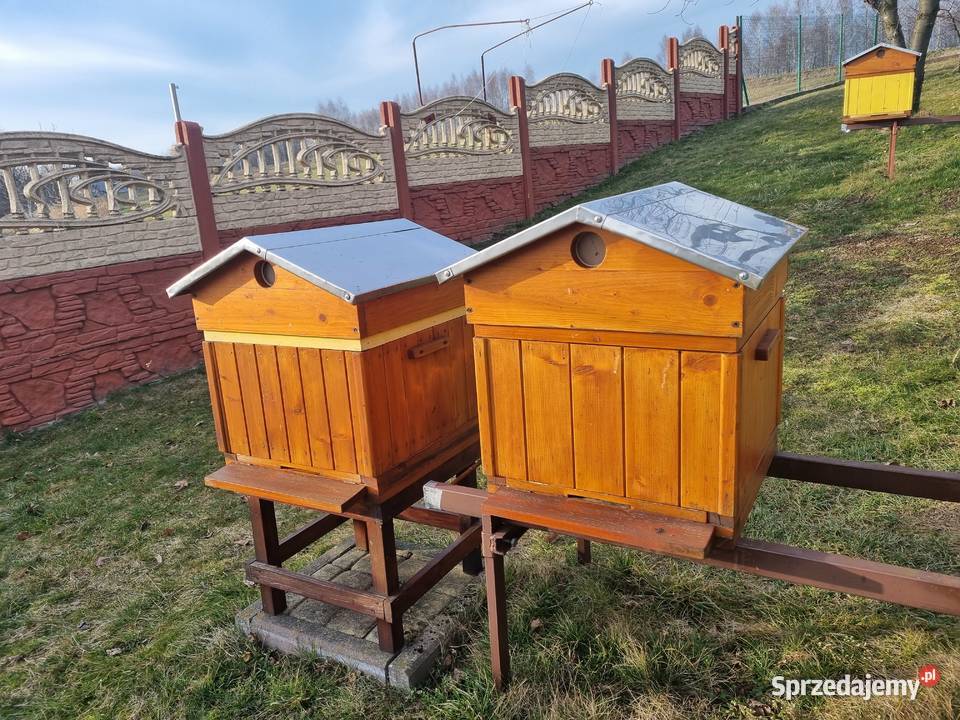 Sprzedam Ule Pszczół Warszawskie prawie nowe Sanka