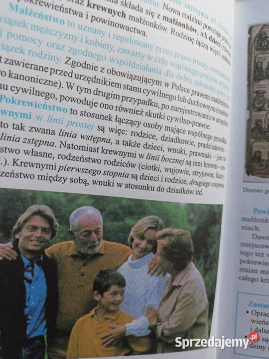 Wychowanie obywatelskie grafpunkt podręczniki