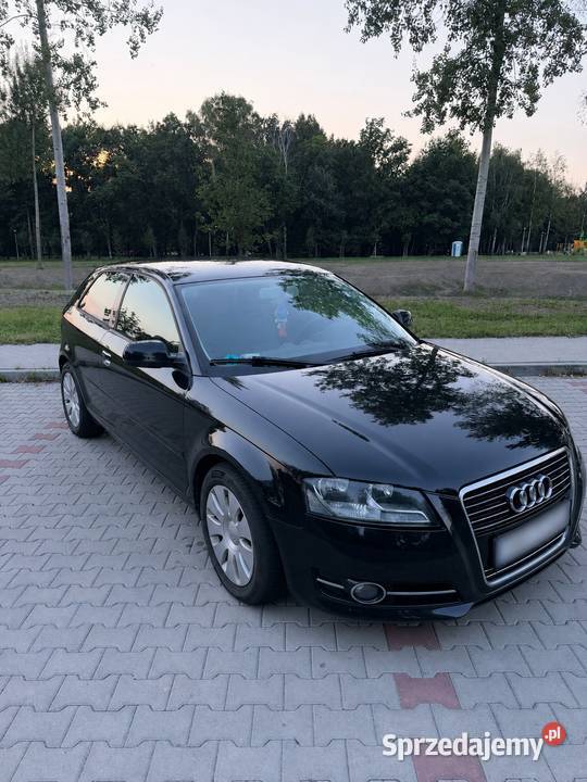 Audi a3 8p 16 TDI COMMON RAIL LIFT nieuszkodzony śląskie Orzesze
