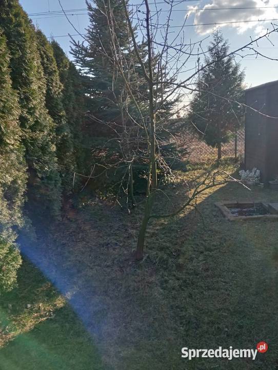 Działka 300m2 ROD Środa Wielkopolska wielkopolskie