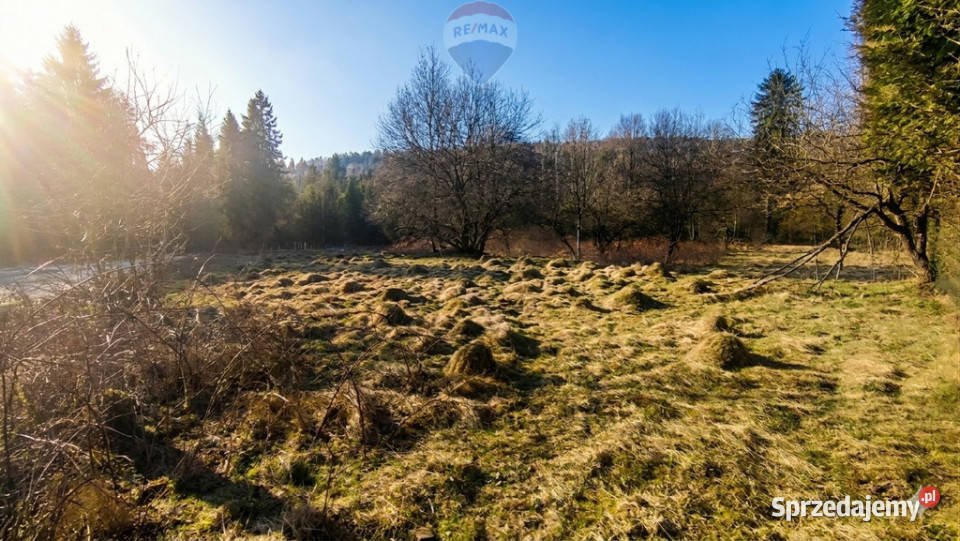 Działka 8a otulona zielenią Jeleśnia czeka