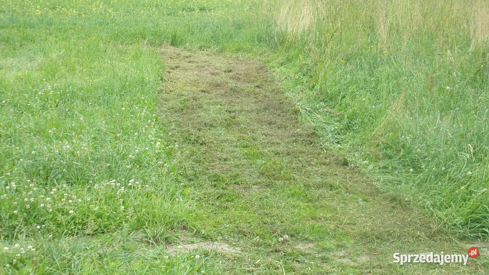 Kosiarka Bijakowa EFGC AGF EFGCH 145 155 175 pomorskie Kwidzyn