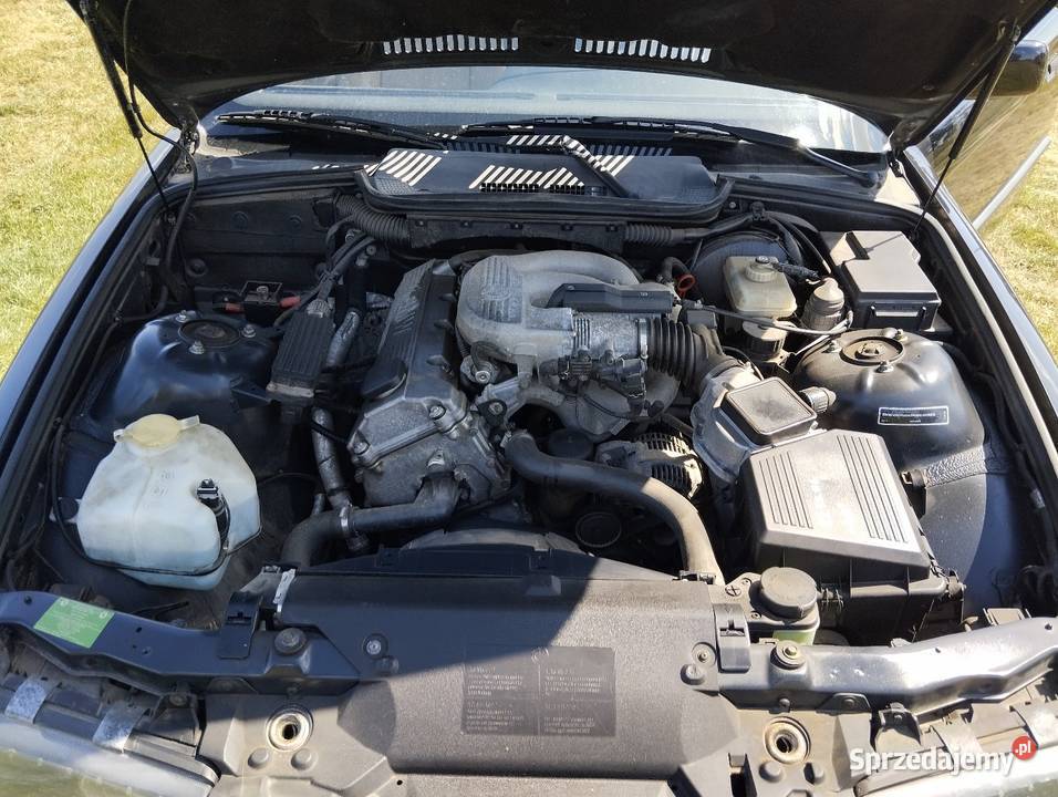 BMW E36 Piotrowice
