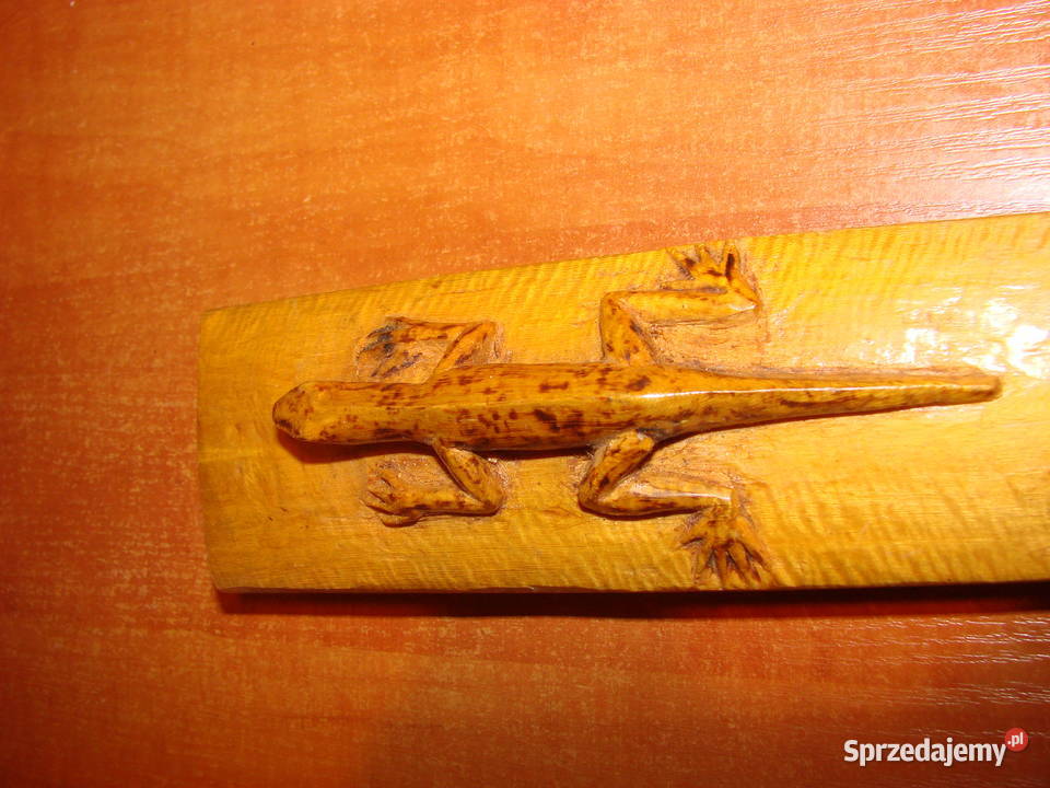 jaszczurka nadrzewna Puerto Rico pomorskie