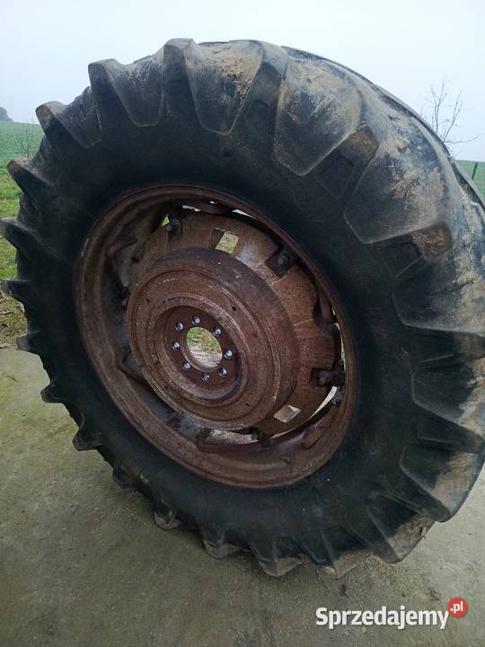 Massey Ferguson 595 części Koziary sprzedam