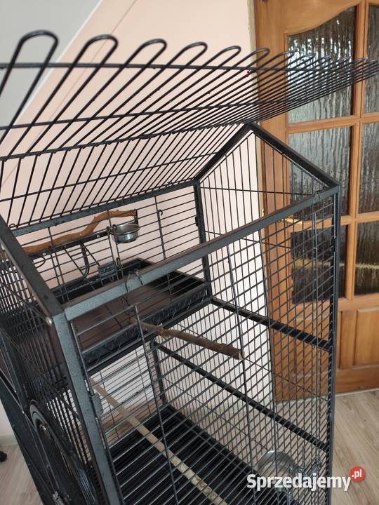 Klatka ptaków Świdnica