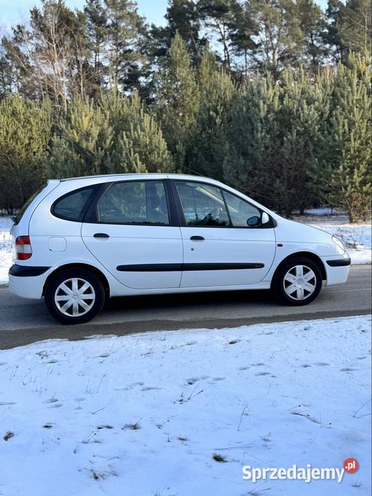 Renault Scenic 2 19 dci bez korozji nieuszkodzony Scenic Łopuszno