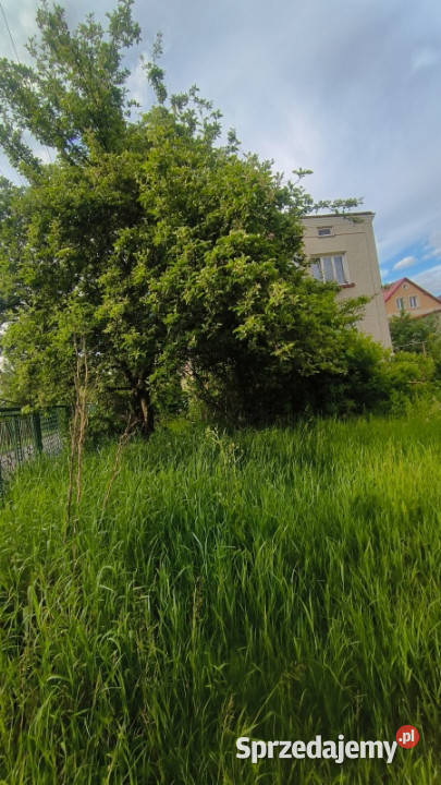 Do wynajęcia dom Sanok Wójtostwo Domy
