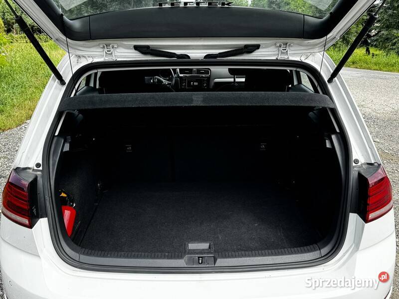 Volkswagen Golf City Pierwszy Właściciel małopolskie Tarnów