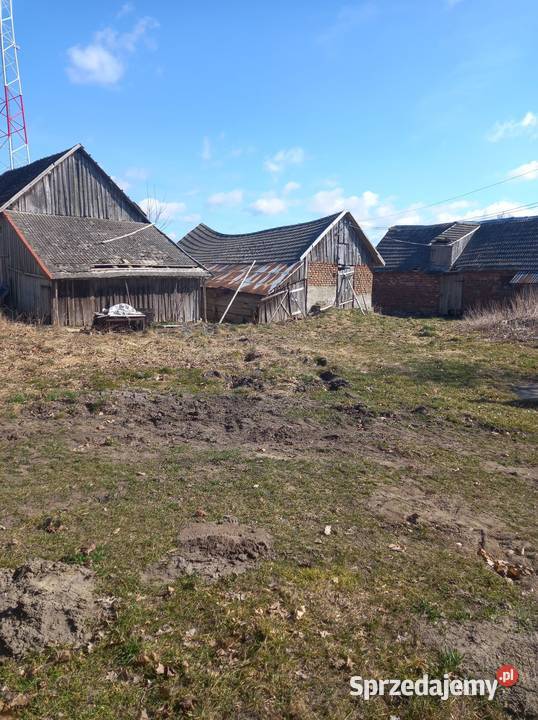 Dom Wolnostojący Wola Wilknicka