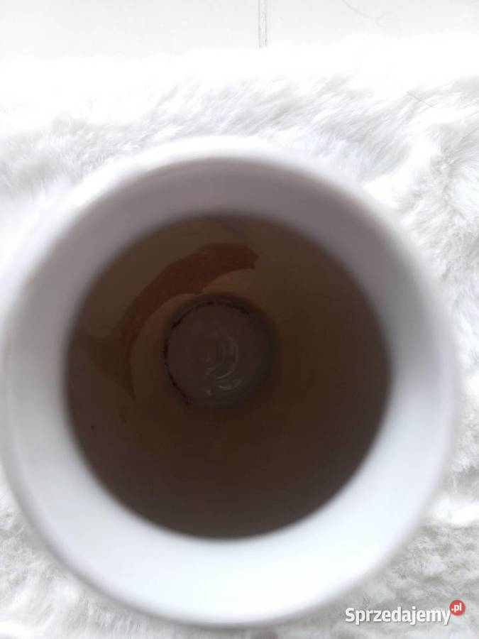 Wazon porcelanowy Pawie Wazony