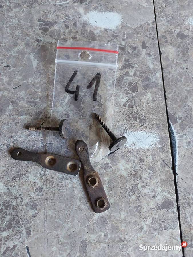 41 Pionizery pionizatory stabilizatory starego Tczew sprzedam