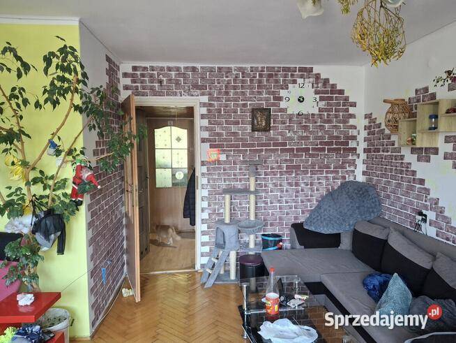 Sprzedam zamienię miejsce parkingowe Tomaszów Lubelski