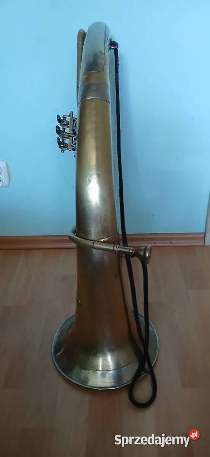 Stary instrument Sakshorn