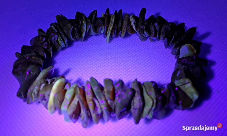 Bransoletka z bursztynu bursztyn bałtycki