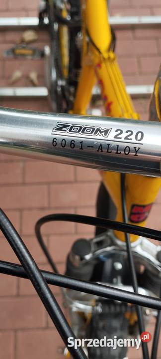 Rower górski Magnum Leszno