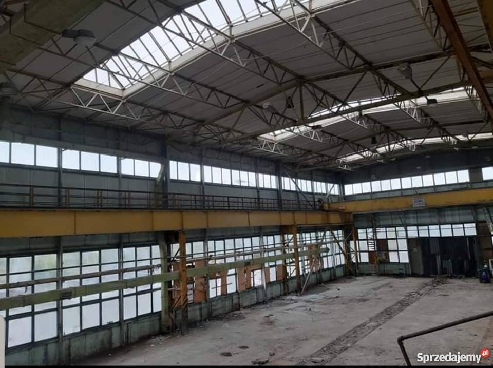 Suwnica 125 tony kompletna wielkopolskie Jankowo sprzedam