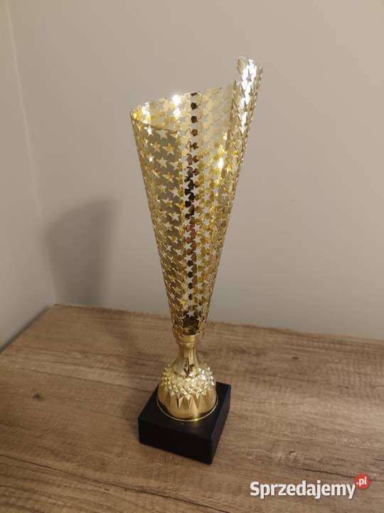 Puchar metalowy złoty Ever 4175 trofeum Rzeszów