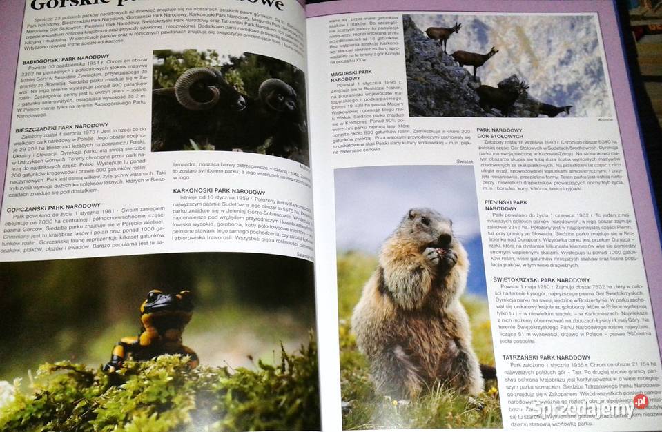 Góry polski Biblioteka wiedzy Joanna Włodarczyk Chełm