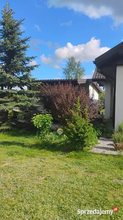 Sprzedam dom strych Białobrzegi sprzedam