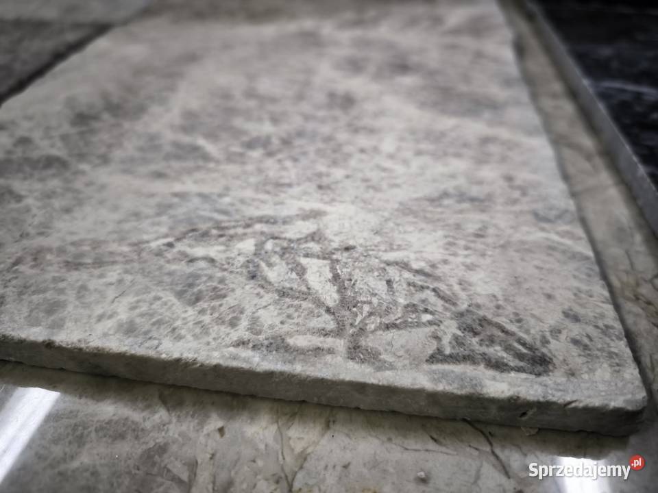 Płytki marmur Tundra Grey szlifowane 203x203x12 pomorskie Gdynia