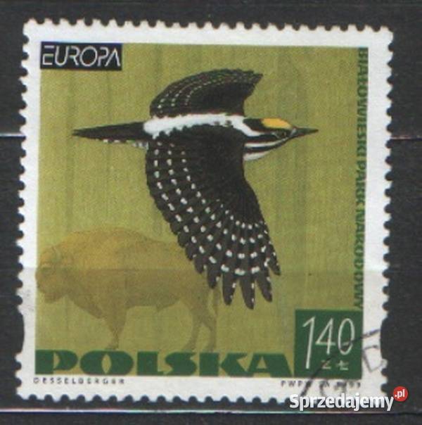 Zn Fi 3601 5 6 11 5 30 1 45 6 50 kas 1999 Filatelistyka Gliwice