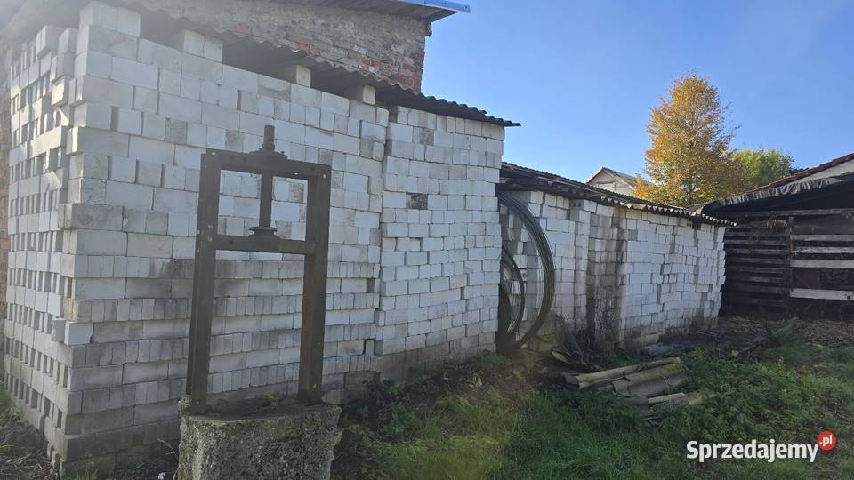 Sprzedam ceglyodbiór we własnym zakresie warmińsko-mazurskie Wipsowo