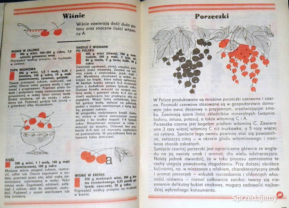 Mrożonkowe ABC Ludmiła Grudowa Chełm