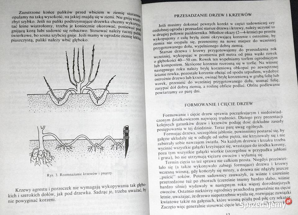 Zdrowy ogród Nina Grella lubelskie Chełm