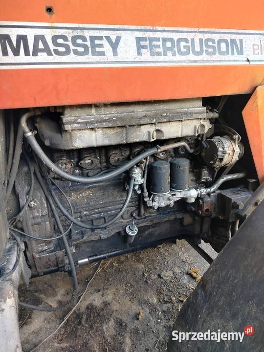 Massey Ferguson 2725 podkarpackie Sokołów Małopolski