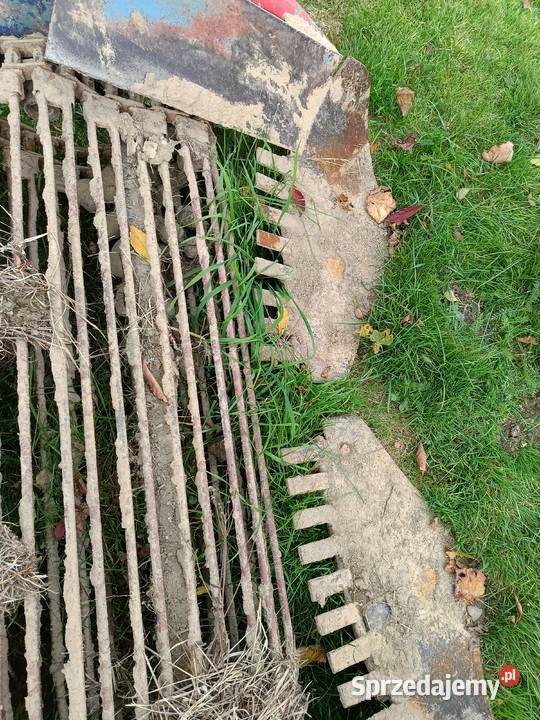 Kopaczka elewatorowa małopolskie