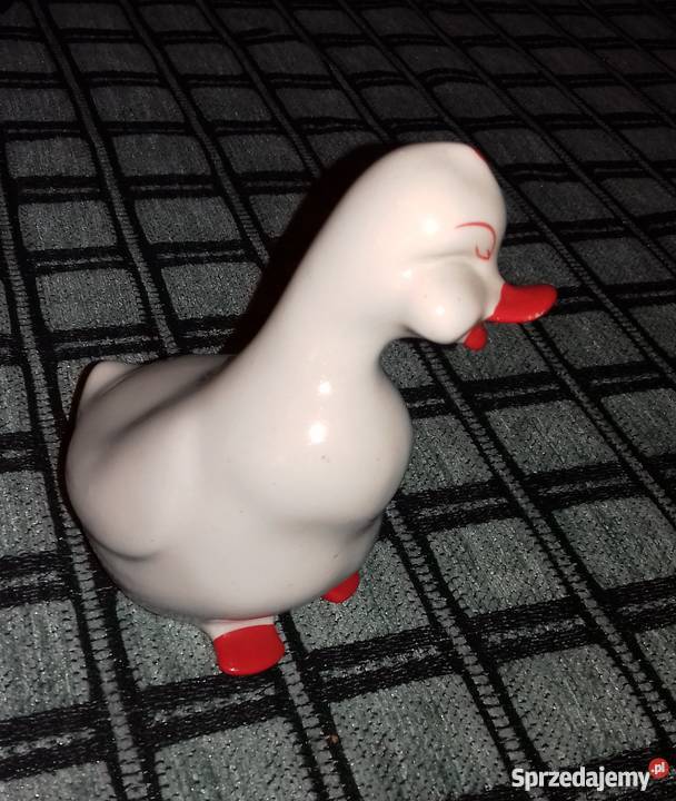 Śliczna kaczuszka Warszawa